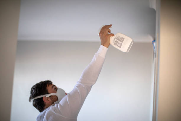 Best Home Mold Removal  in Lorane, PA