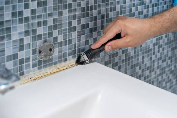 Best Professional Mold Removal  in Lorane, PA